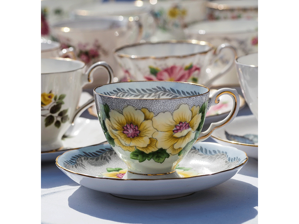 China cup and saucer