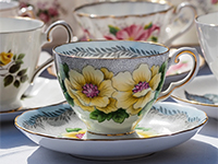 China cup and saucer