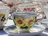 Vintage China by Elegance China Hire